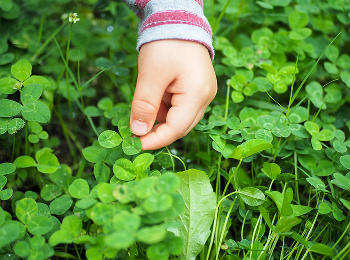 子どもにとっての自然素材は「自由に使えるもの」