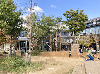 制限がないからこそ、遊びは深まる