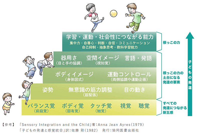 視覚~情報収集のエキスパート