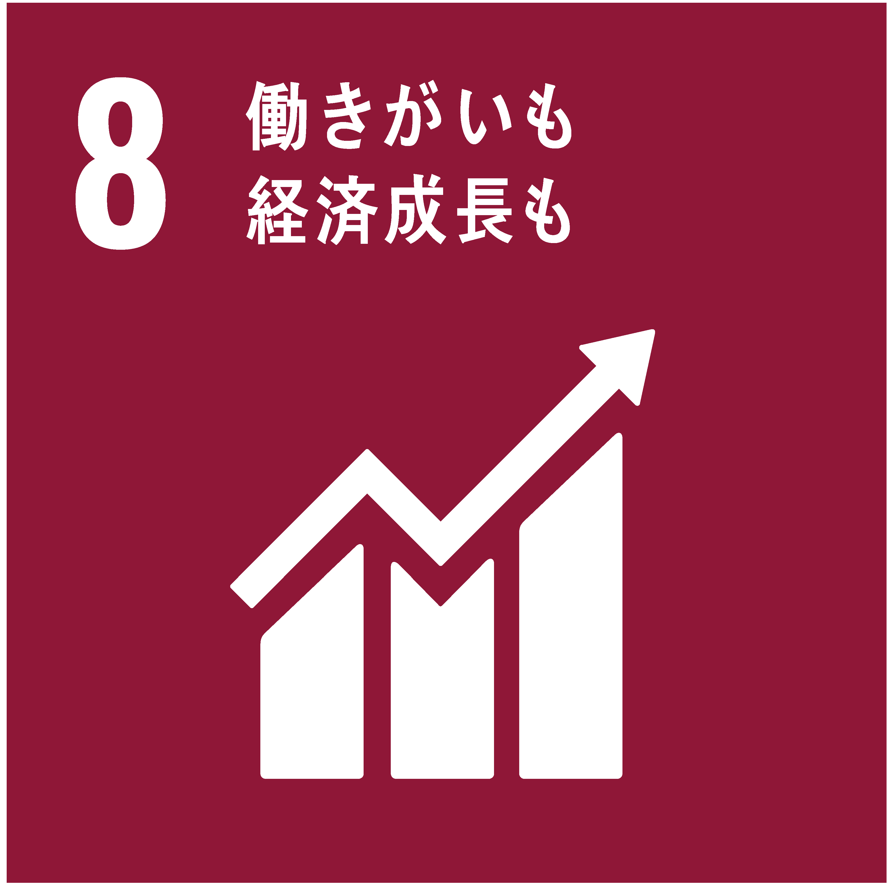 sdg_icon_08