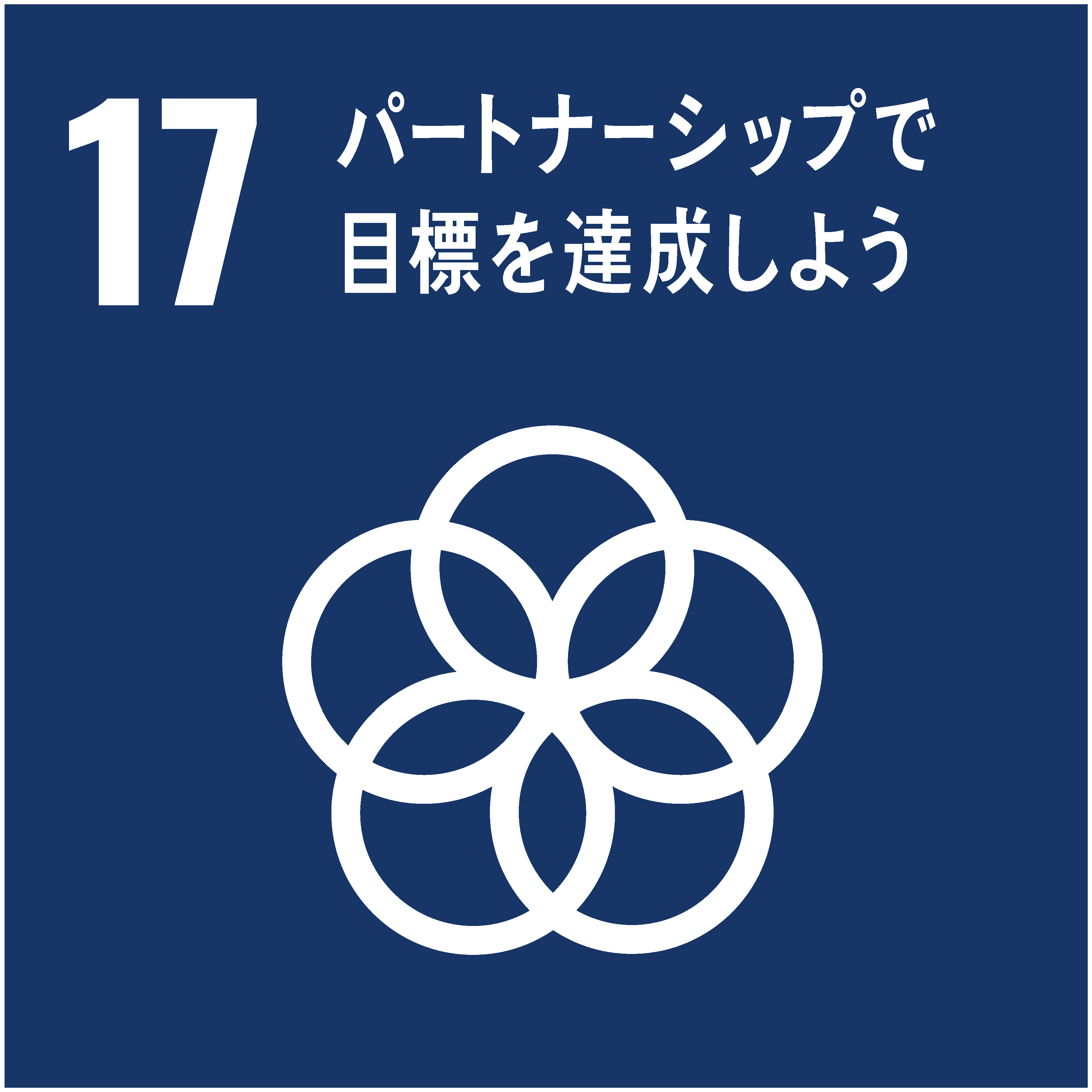 sdg_icon_17