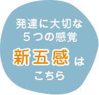 発達に大切な５つの感覚新五感はこちら